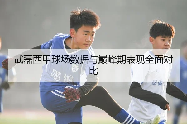 武磊西甲球场数据与巅峰期表现全面对比